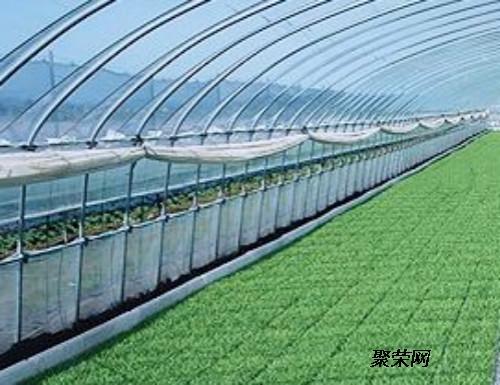 越来越多的农民看好温室大棚蔬菜种植这项目