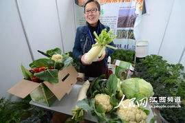江西乐平打造赣东北最大蔬菜农产品集散地 招商会25日举行